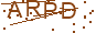 驗證碼 ARPD